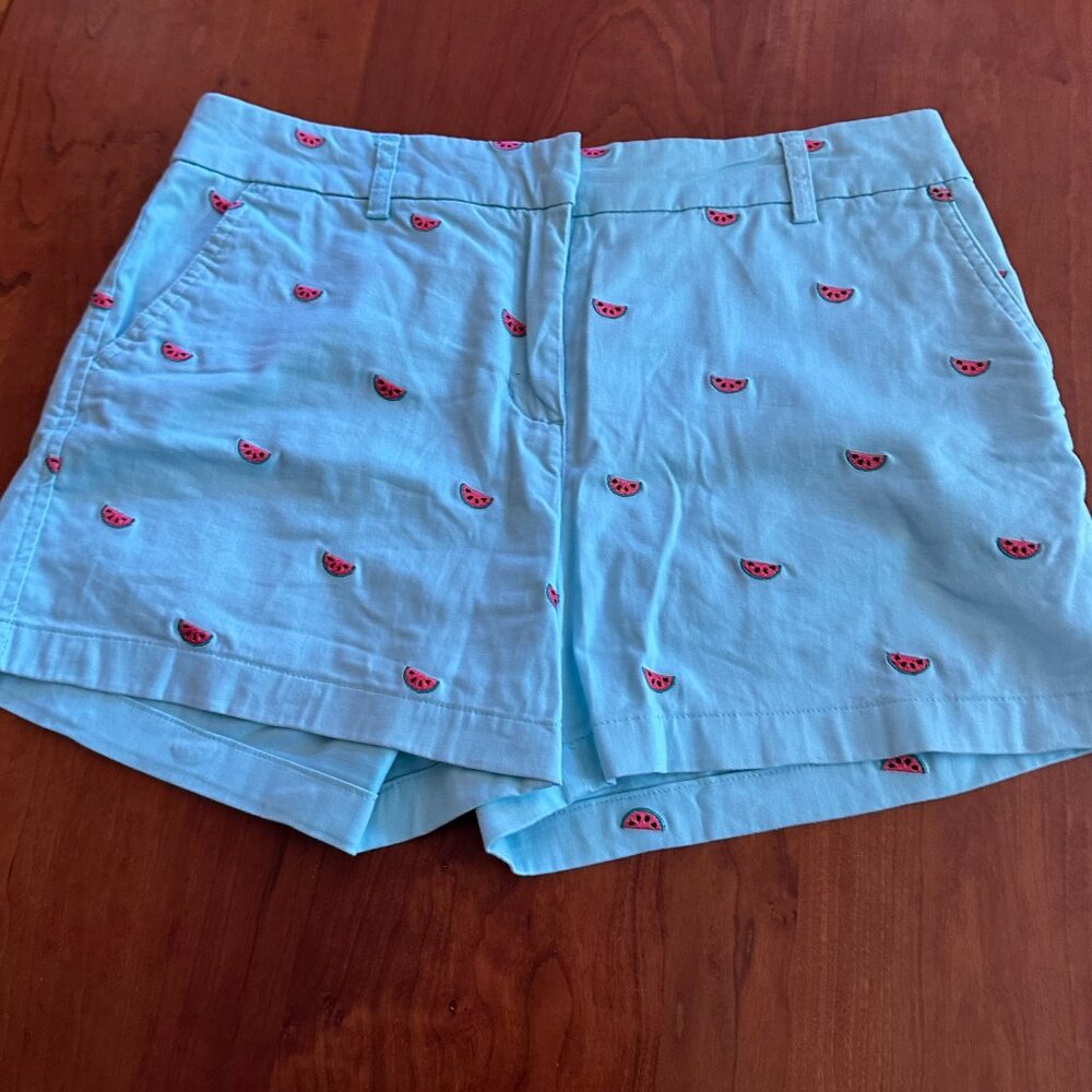 Cambridge Wms light Blue /green w/ Embroidery design Shorts size 8